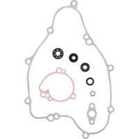 (image for) ProX Water Pump Repair Kit