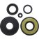 (image for) Vertex Engine Oil Seal Kit 0935-1225