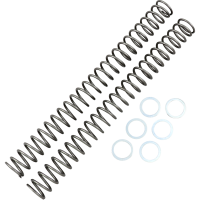 (image for) Race Tech Fork Spring 0405-0148
