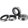 (image for) Front Wheel Bearing Kit - KTM
