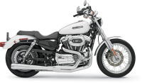 (image for) Bassani Road Rage 2-Into-1 System Chrome, Long (XL)