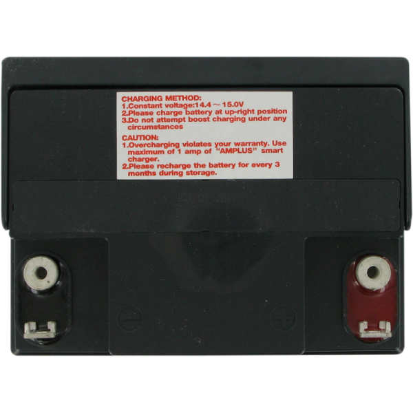 (image for) PARTS UNLIMITED BATTERIES Parts Canada AGM Maintenance-Free Battery for BMW R18 21-22