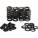 (image for) Beehive Valve Spring Kit for Honda