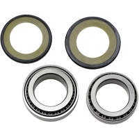 (image for) Steering Stem Bearing Kit 22-1014