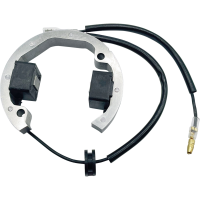 (image for) Rick's Motorsport Electrics Stator 2112-1736