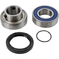 (image for) Drive Shaft Chain Case Bearing and Seal Kit