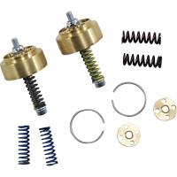 (image for) Gold Valve Cartridge Fork Emulator FEGV-S4101