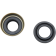 (image for) Race Tech Shock Oil/Dust Seal Set