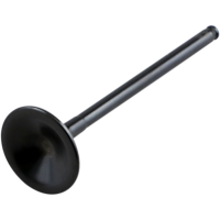(image for) Black Diamond Exhaust Valve