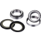 (image for) OEM Series Steering Stem Bearing Kit 0401-0112