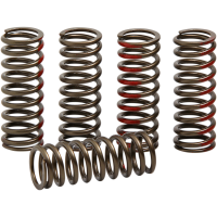 (image for) Pro Circuit Clutch Springs