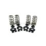 (image for) High Performance Beehive Spring Kit 425012