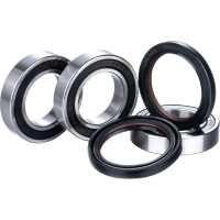 (image for) Race Series Rear Wheel Bearing Kit