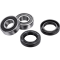(image for) Factory Links OEM Series Rear Wheel Bearing Kit 0215-1453