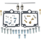 (image for) Carburetor Repair Kit