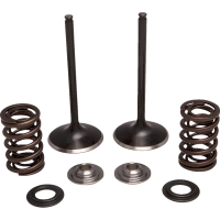 (image for) Stainless Steel Conversion Valve and Spring Kit - Intake