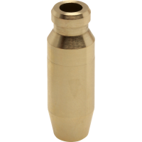 (image for) Intake Valve Guide