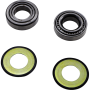 (image for) Steering Stem Bearing Kit 0410-0124