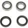 (image for) Front Wheel Bearing and Seal Kit