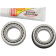 (image for) Pivot Works Steering Stem Bearing Kit - SS-K02-021