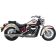 (image for) Hot Rod Exhaust System, Lo-Boy Shotgun