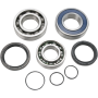 (image for) Jack Shaft Chain Case Bearing and Seal Kit