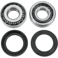 (image for) Swingarm Bearing Kit