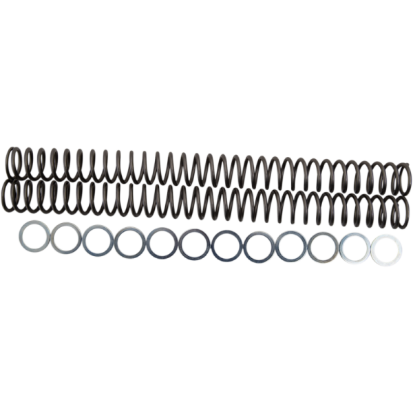 (image for) Race Tech Fork Spring 0405-0313