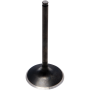 (image for) Black Diamond Exhaust Valve