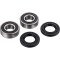 (image for) Front Wheel Bearing Kit - YAMAHA