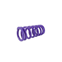 (image for) Lowering Spring - Rear 30 mm