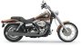 (image for) Bassani Road Rage 2-Into-1 System Black, Long