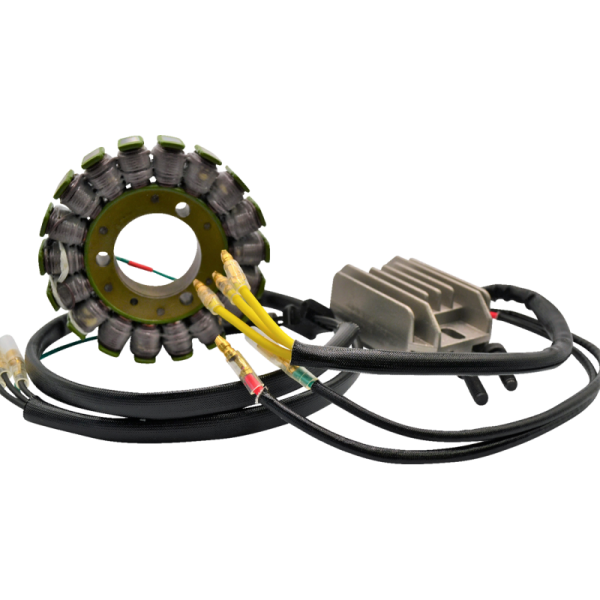 (image for) RICK'S MOTORSPORT ELECTRIC Lithium-Ion Friendly Charging Kit for Kawasaki KZ650 78-80