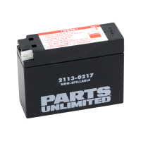 (image for) Parts Canada AGM Maintenance-Free Battery for Yamaha TT-R90E Electric Start 03-07