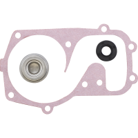(image for) Water Pump Rebuild Kit for Polaris SNO 600 IQ/ES 09
