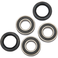 (image for) Rear Wheel Bearing and Seal Kit