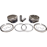 (image for) Piston Kit, +0.010" for 131" Engine