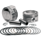(image for) Piston Kit 106" Stroker +0.010"