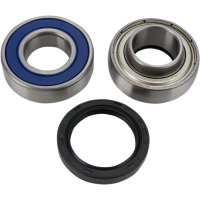 (image for) Jack Shaft Chain Case Bearing and Seal Kit