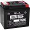 (image for) BS Battery SLA AGM 2113-0978