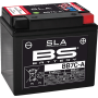 (image for) BS Battery SLA AGM 2113-0978