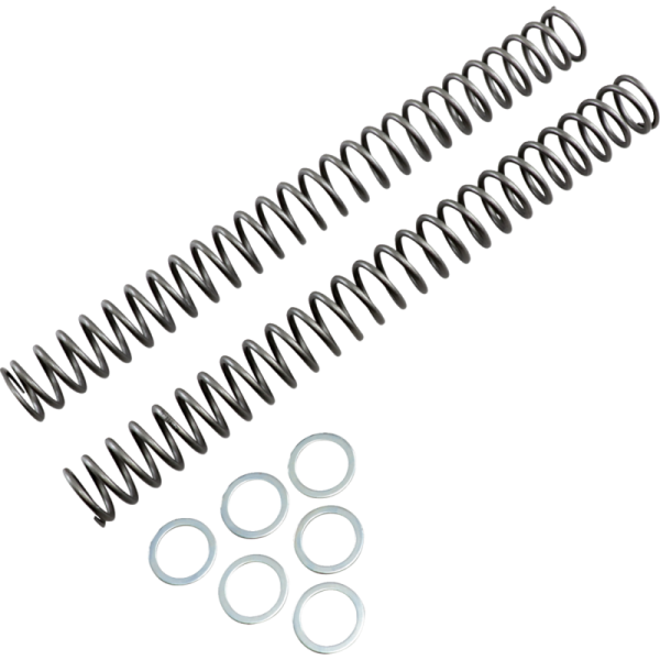 (image for) Race Tech Fork Spring 0405-0151