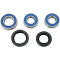 (image for) Rear Wheel Bearing and Seal Kit