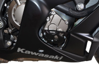 (image for) Vortex Right Case Guard 0940-1379