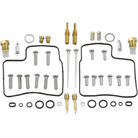 (image for) Carburetor Repair Kit