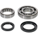 (image for) Main Bearing and Seal Kit - HONDA CRF250RX 19-24
