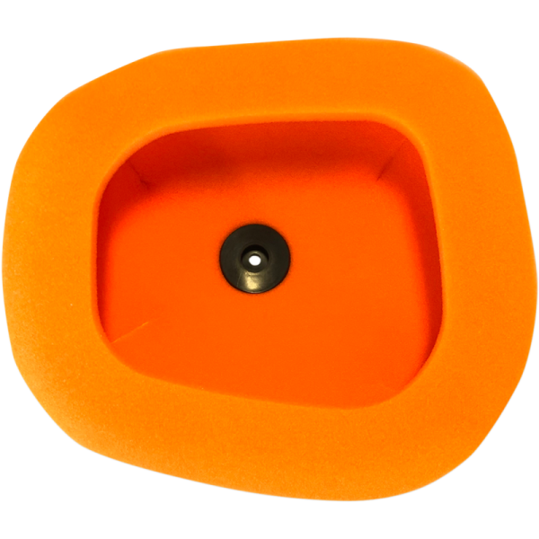 (image for) Twin Air Standard Filter 1011-4247