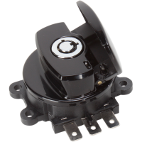 (image for) Side Hinge Ignition Switch Only Gloss Black