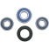 (image for) Rear Wheel Bearing and Seal Kit