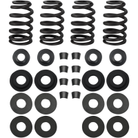 (image for) 0.585" Valve Spring Kit